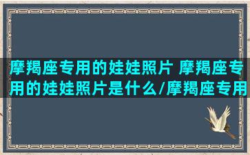 摩羯座专用的娃娃照片 摩羯座专用的娃娃照片是什么/摩羯座专用的娃娃照片 摩羯座专用的娃娃照片是什么-我的网站